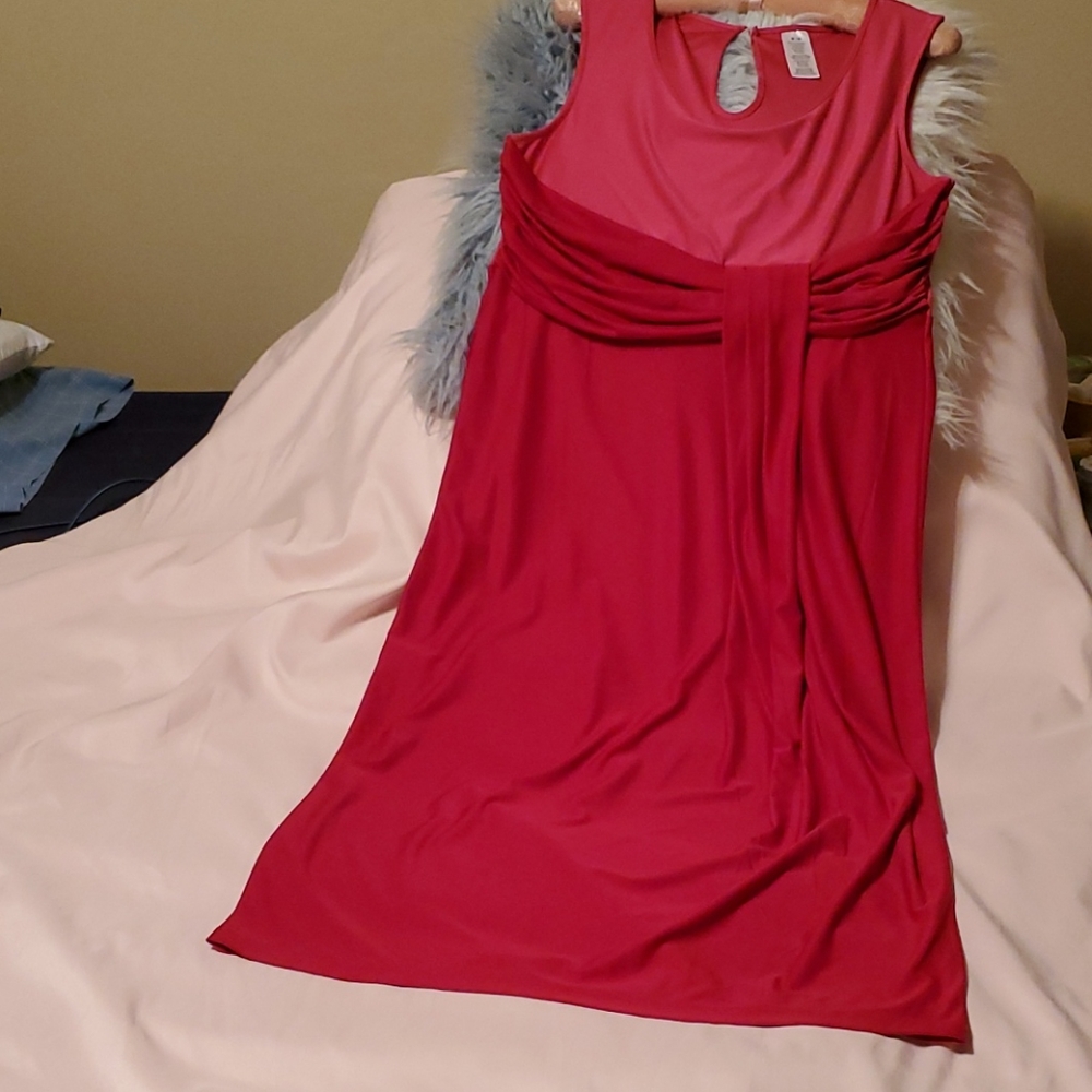 Dress (NEVER WORN)